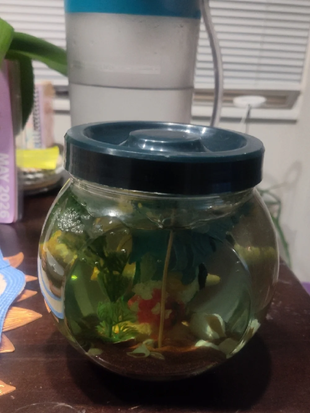 Yellow Decorative Fish Tank Ornament - Pets Fish Candle Jar.